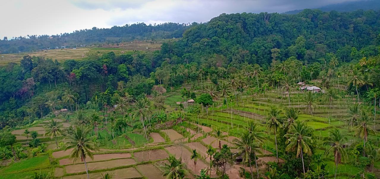 Green Rinjani Guest Houst Hotell Senaru Eksteriør bilde